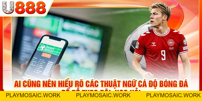 Thuật Ngữ Cá Độ Bóng Đá | Điều Quan Trọng Bạn Cần Biết