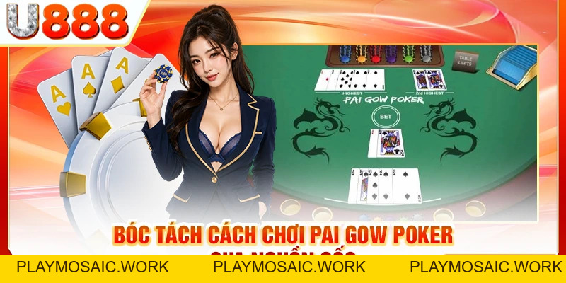 Nắm Bắt Cách Chơi Pai Gow Poker Chỉ Trong 5 Phút
