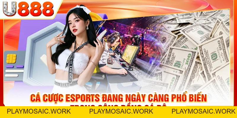Cá Cược Esports | Cần Lưu Ý Những Điều Quan Trọng Gì