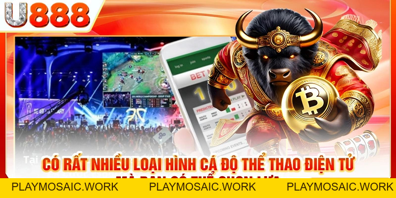 Cá Cược Esports | Cần Lưu Ý Những Điều Quan Trọng Gì
