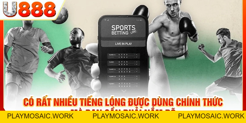 Thuật Ngữ Cá Độ Bóng Đá | Điều Quan Trọng Bạn Cần Biết