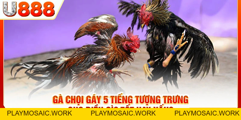 U888 | U888.Com Trang Chủ Nhà Cái Uy Tín, Thưởng Nóng 68K