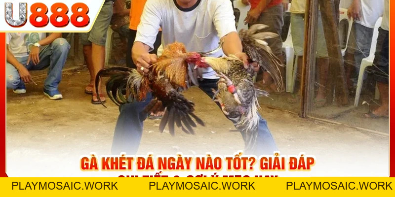 U888 | U888.Com Trang Chủ Nhà Cái Uy Tín, Thưởng Nóng 68K
