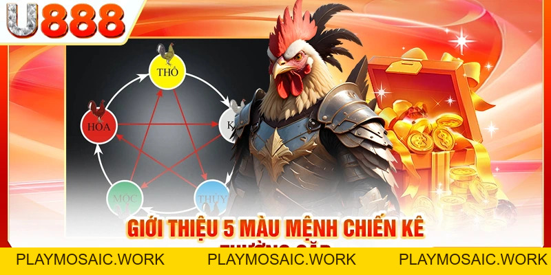 Xem Màu Mạng Gà Đá Theo Ngày Để Chọn Thần Kê Cho Mình