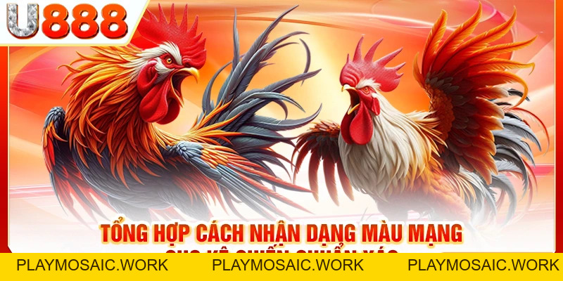 Xem Màu Mạng Gà Đá Theo Ngày Để Chọn Thần Kê Cho Mình